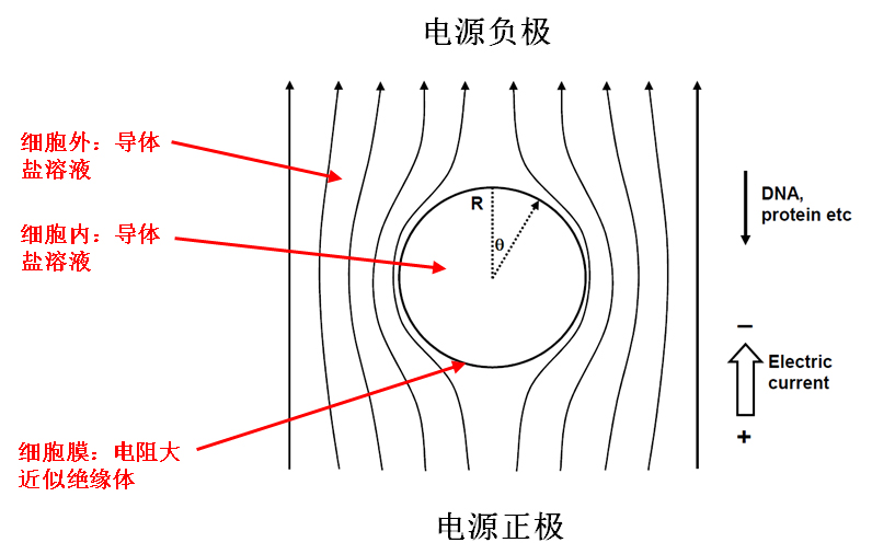 圖片6.jpg 圖片6.jpg